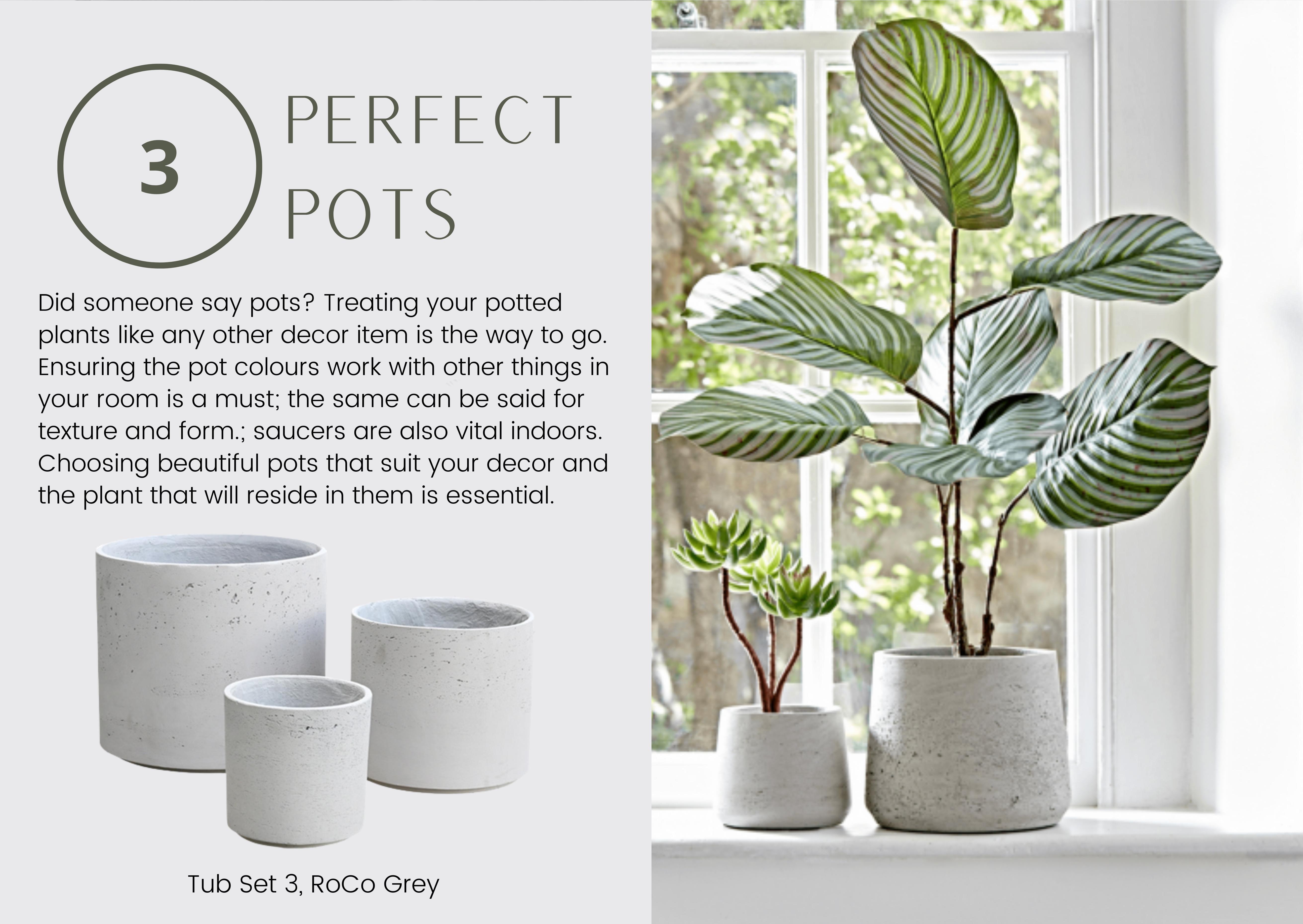 3 Perfect Pots